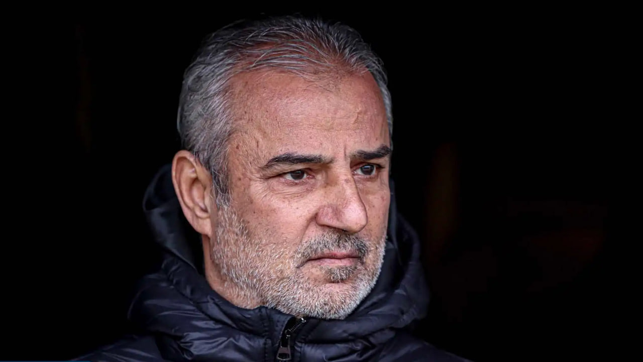 فرصت ویژه کارتال؛ ببر و محبوب بمان!